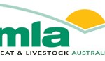 MLA